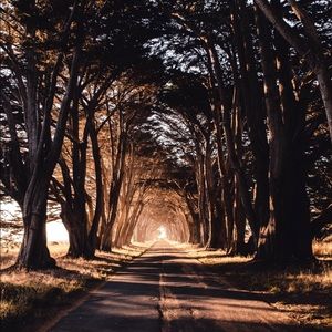 Meet your Posher, Lilly